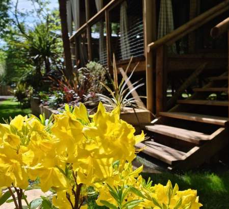 ᐃ LE MARACHE VACANCES **** : Camping Francia cuenca de Arcachon