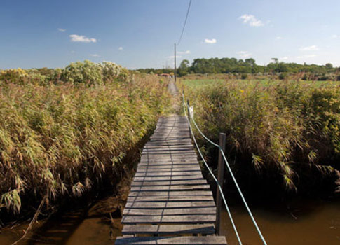 The island of Malprat